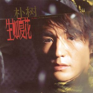 日本体内she精汇编
