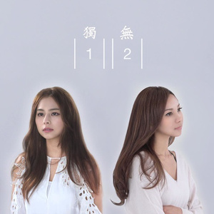 日本体内she精汇编
