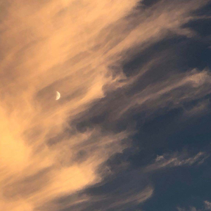 日本体内she精汇编
